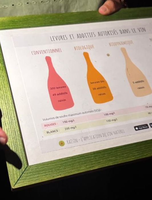 Degustazione in cantina