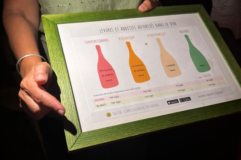 Al di là del Fiume – Degustazione in cantina