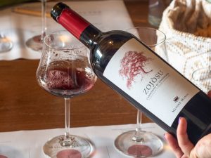 Tenuta-Masone-Mannu-15