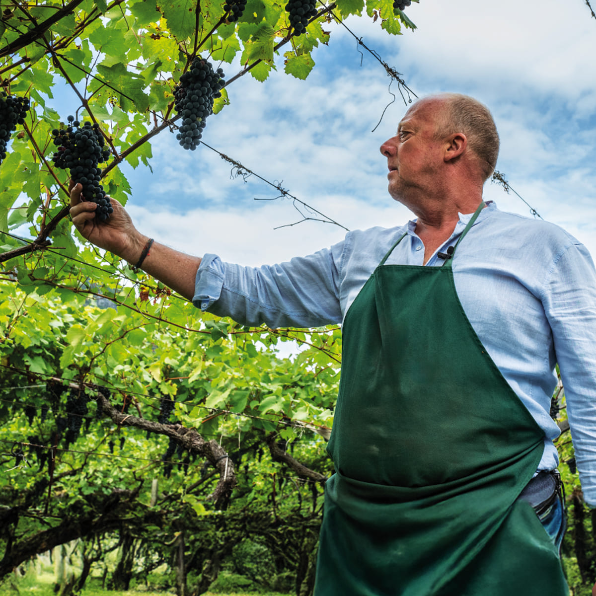 <big>Scopri</big><br> il gusto autentico della Biodinamica