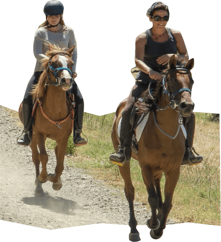 Perché un’esperienza negli agriturismi Demeter?