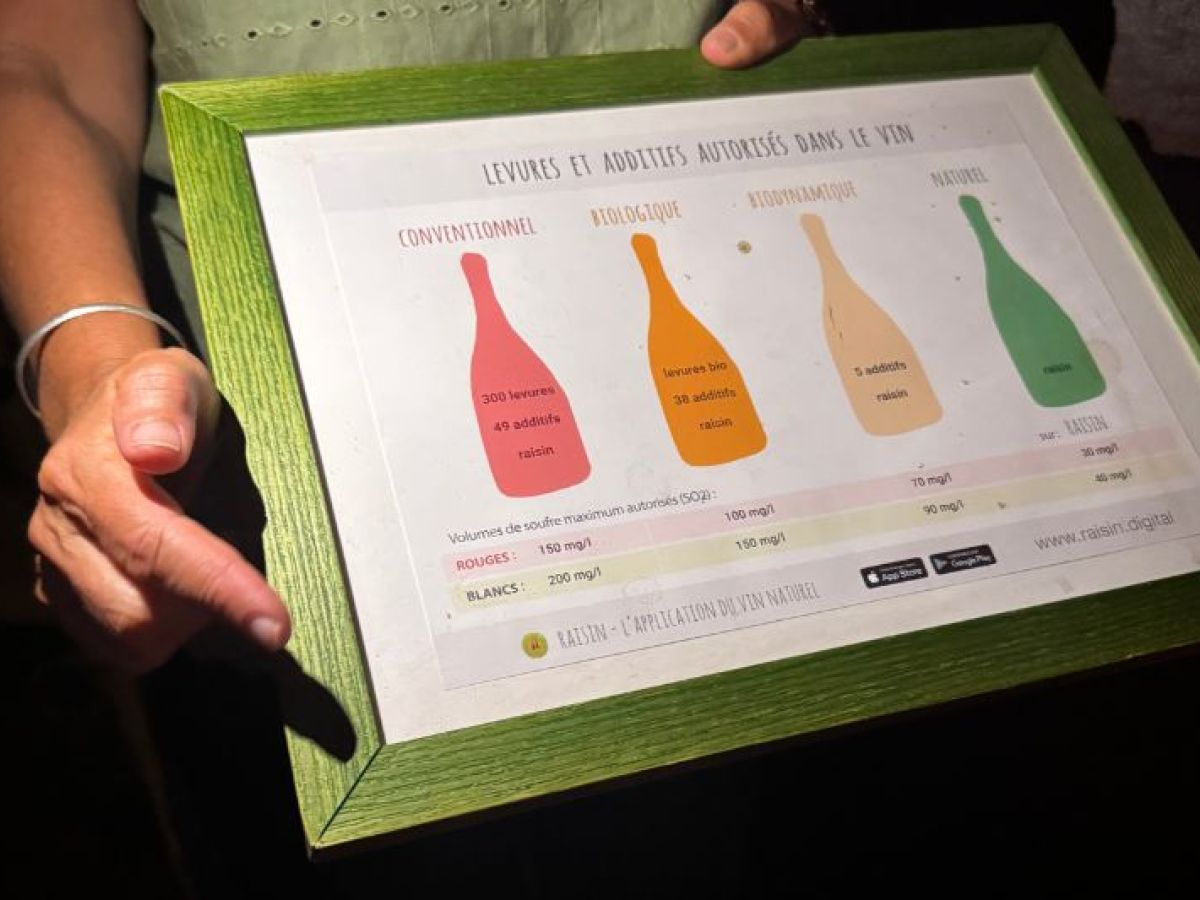 Al di là del Fiume – Degustazione in cantina