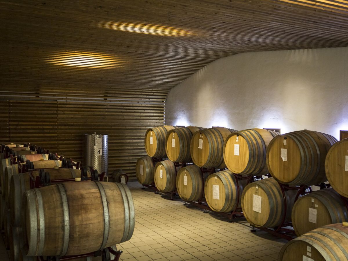 Palazzo Tronconi – Wine tour