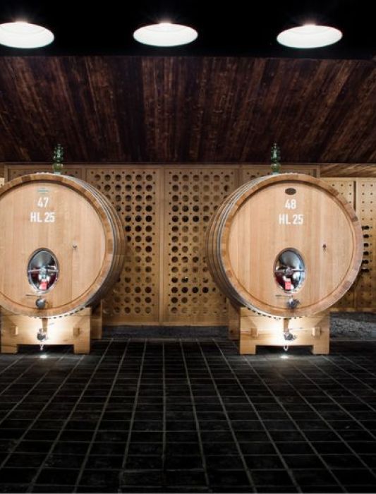 Wine tour