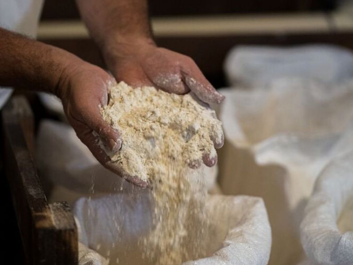Bio Agriturismo Il Cerreto – Corso di cucina naturale